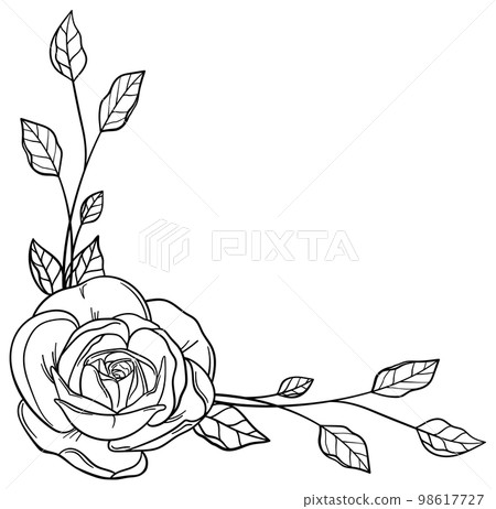 Botanical frames and corners of delicate plants and flowers Vector material Botanical frames and corners of delicate plants and flowers Vector material 98617727