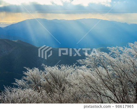 Mount Kongo's frost-covered trees and Angel's Ladder from Chihaya Enchi Observatory 98617965