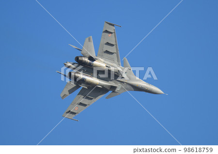 印度空軍蘇霍伊 Su-30MKI 盤旋 印度空軍蘇霍伊 Su-30MKI 盤旋 98618759