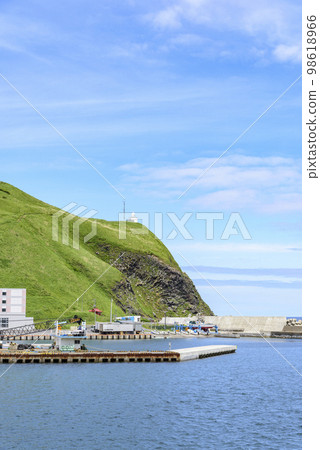 利尻島、押泊山、城鎮和港口 98618966