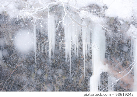 Spring water icicles frozen in the harsh winter of Fujiwara, Minakami Town Spring water icicles frozen in the harsh winter of Fujiwara, Minakami Town 98619242