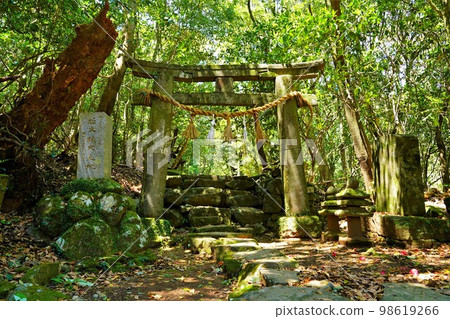 Torii of Shirayama Hime Shrine on Mt. Yasumandake Torii of Shirayama Hime Shrine on Mt. Yasumandake 98619266