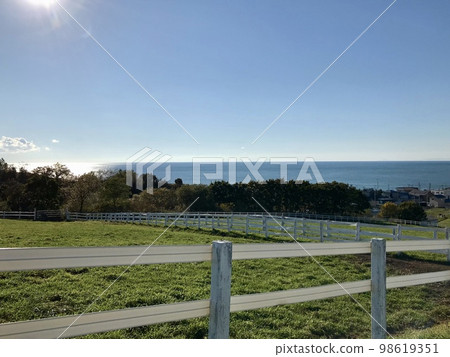 俯瞰大海的牧場景觀 俯瞰大海的牧場景觀 98619351