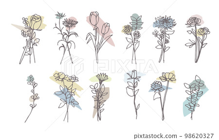 Hand-drawn botanical illustrations in dull colors, cute hand-drawn botanical illustrations. Botanical line drawing illustration. 98620327