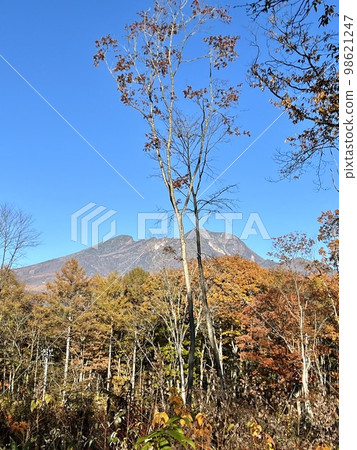 [長野縣信濃町]10月的妙高山 98621247
