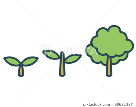 Plant growth 98621387