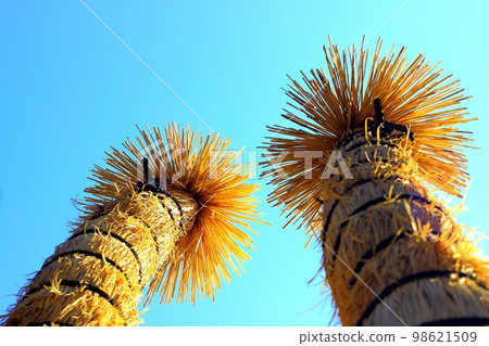 稻草爛攤子和藍天 98621509