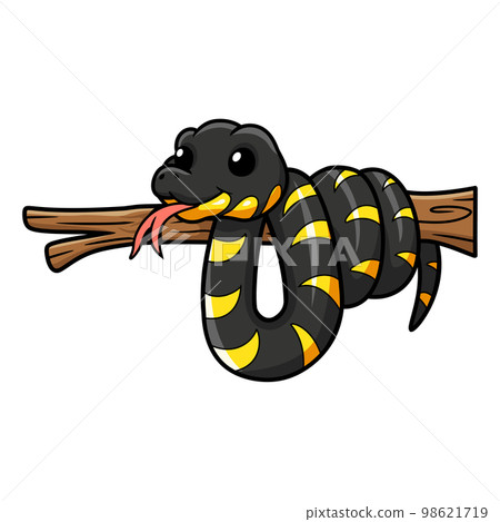 Cute happy mangrove snake cartoon on tree branch Cute happy mangrove snake cartoon on tree branch 98621719