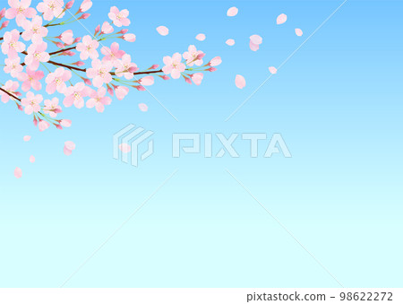 Vector illustration background with blue sky and cherry blossoms watercolor touch 98622272