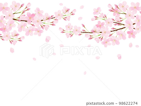 白色背景下水彩櫻花的向量插圖 98622274