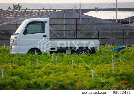 Light truck farm work Light truck farm work 98622481