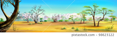 Savannah landscape with trees illustration Savannah landscape with trees illustration 98623122