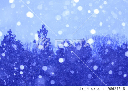 Snowfall Snowfall 98623248