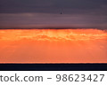 Fantastic sunset sky and flying seagulls 98623427