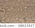 Abstract image of sunlight reflection on sea surface 98623437