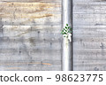 Background image of sakaki and paper hanging on the fence 98623775