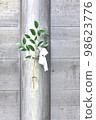 Background image of sakaki and paper hanging on the fence 98623776