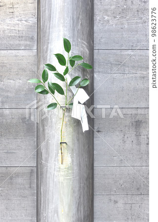 Background image of sakaki and paper hanging on the fence Background image of sakaki and paper hanging on the fence 98623776