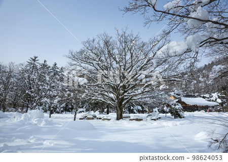 Seorak Oxygen Park 98624053