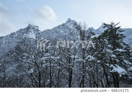 Seorak Oxygen Park Seorak Oxygen Park 98624175