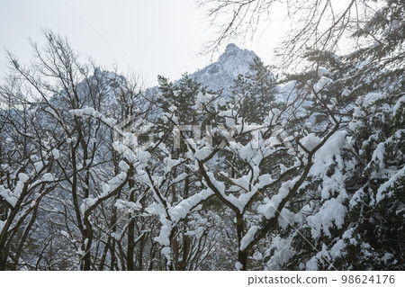 雪岳氧氣公園 98624176