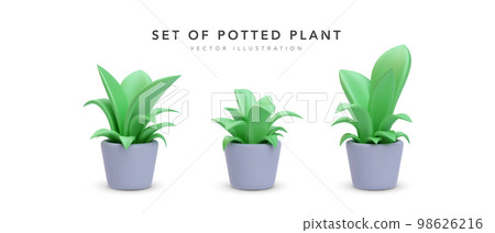 Set of 3d realistic potted plant Set of 3d realistic potted plant 98626216