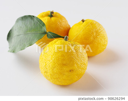 三個黃色的柚子 三個黃色的柚子 98626294