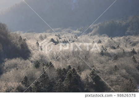 Rime forest 98626378