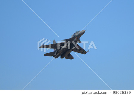 印度空軍蘇霍伊 Su-30MKI 起飛 98626389