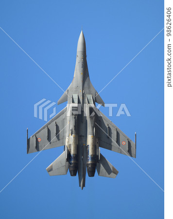 印度空軍蘇霍伊 Su-30MKI 升起 98626406
