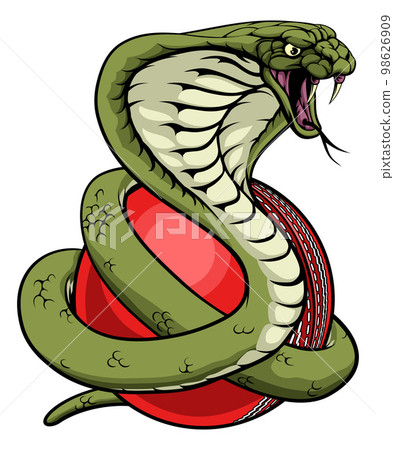 Cobra Snake Cricket Ball Animal Sports Team Mascot 98626909