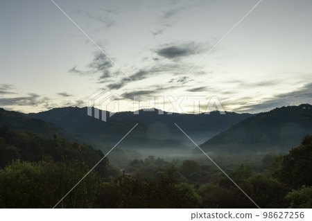 秘密花園 98627256