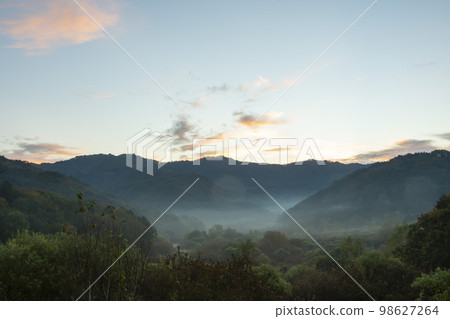 Secret Garden 98627264