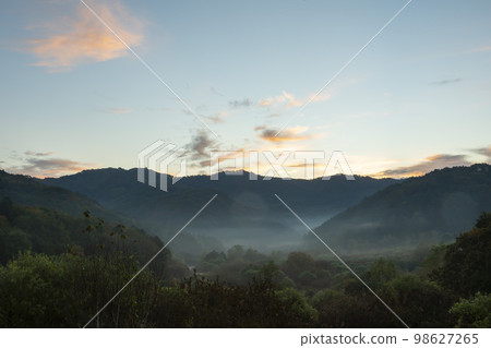 秘密花園 98627265