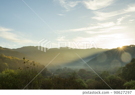 秘密花園 98627297