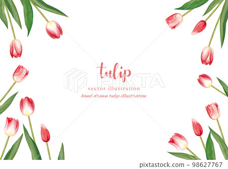 hand painted tulip watercolor frame 98627767