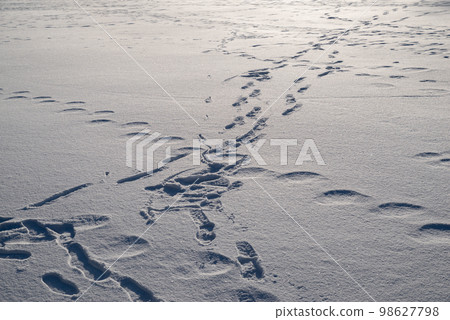 Footprints left in the piled snow Footprints left in the piled snow 98627798