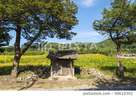 蕎麥，蕎麥 98628302