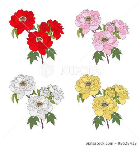 牡丹花一朵（輪廓） 98628412