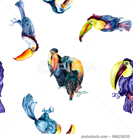 Toucan exotic tropical birds watercolor seamless pattern on white background. 98628830