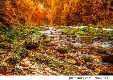Vintgar gorge, Slovenia Vintgar gorge, Slovenia 98629119