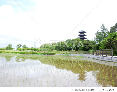 六月的備中文寺五層塔 98629596