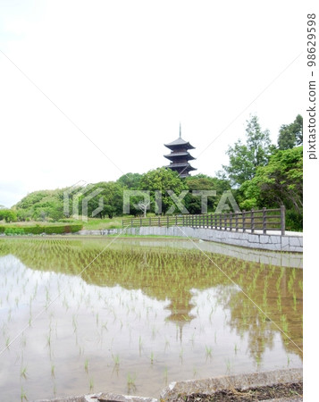 六月的備中文寺五層塔 98629598