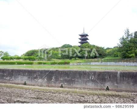 六月的備中文寺五層塔 六月的備中文寺五層塔 98629599