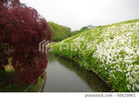 Okayama Korakuen garden in May rain horizontal position Okayama Korakuen garden in May rain horizontal position 98629961