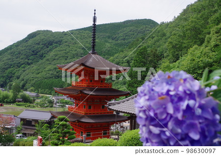 盛開的繡球花美作長福寺三層塔 98630097
