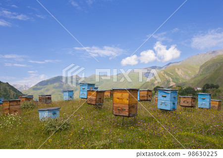 Wooden beehives against the backdrop of mountains. Beehives in a colorful flower meadow in the mountains of Georgia.Beekeeping in mountainous areas. Wooden beehives against the backdrop of mountains. Beehives in a colorful flower meadow in the mountains of Georgia.Beekeeping in mountainous areas. 98630225