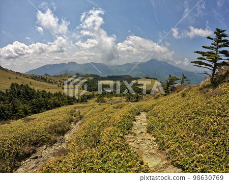 上森草原和石鎚山 98630769