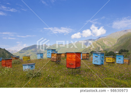 Wooden beehives against the backdrop of mountains. Beehives in a colorful flower meadow in the mountains of Georgia.Beekeeping in mountainous areas. Wooden beehives against the backdrop of mountains. Beehives in a colorful flower meadow in the mountains of Georgia.Beekeeping in mountainous areas. 98630973