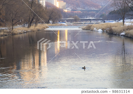 倒映在河中的建築 98631314